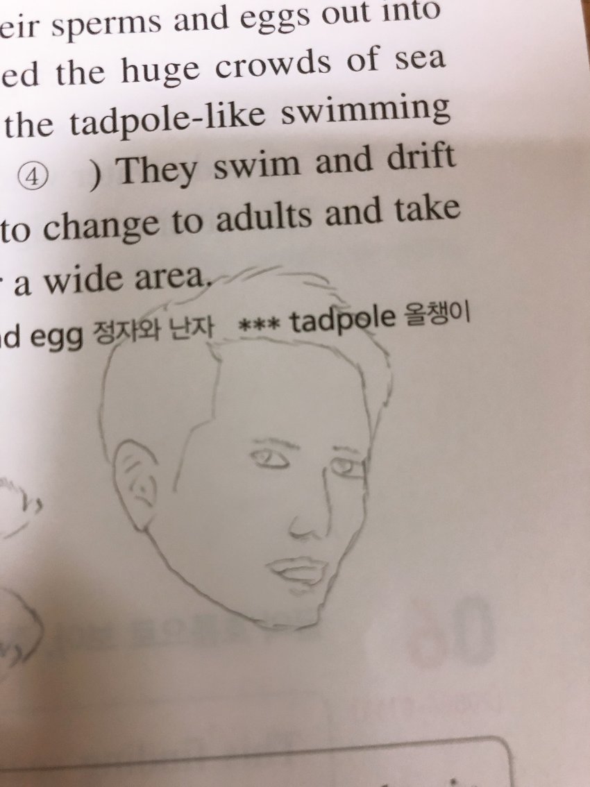 3887808_2.jpg