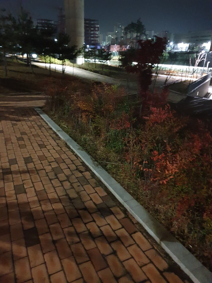 3806807_0.jpg