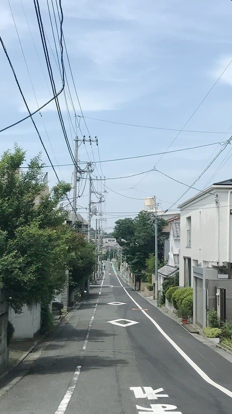 4983278_0.jpg