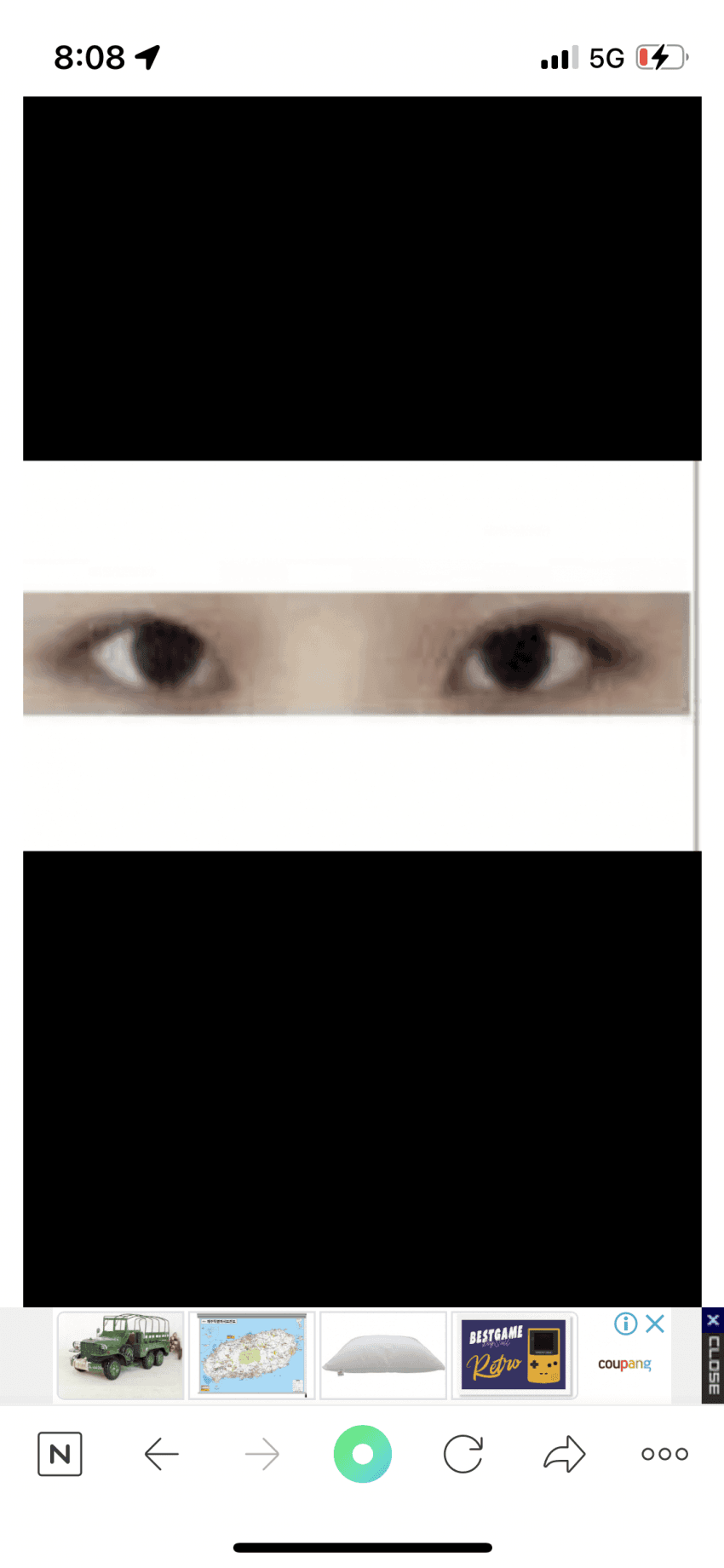 4397258_1.jpg.png
