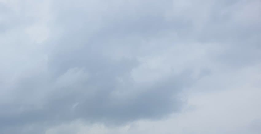 5006919_0.jpg