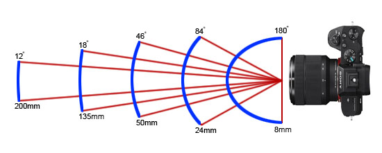 4839696_1.jpg