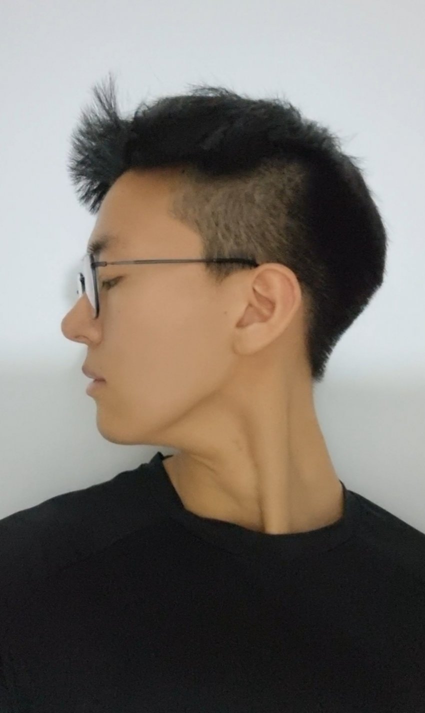 4500595_0.jpg