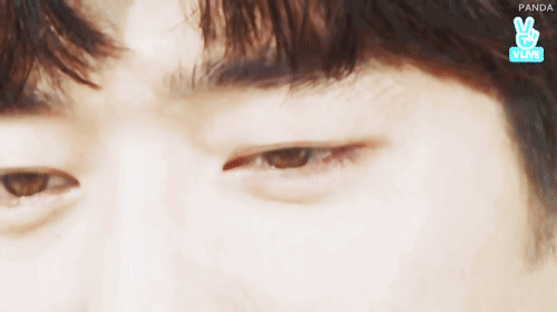 4948060_5.jpg.gif